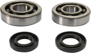 Crankshaft Bearing And Seal Kit