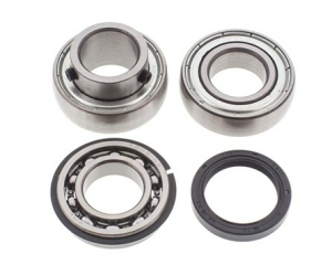 ALL-BALLS Bearing&seal kit