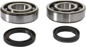 Crankshaft Bearing And Seal Kit