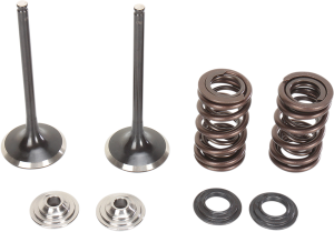 MOOSE RACING Stainless Intake Valve And Spring Kit 