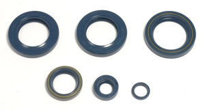 Engine Oil Seal