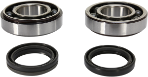 Crankshaft Bearing And Seal Kit