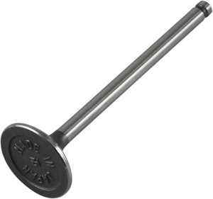 Engine Valve