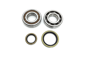 Crank Bearing Seal Kit