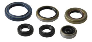 Engine Oil Seal