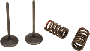 Valve And Spring Kit