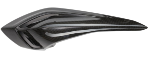 CARBON TAIL PANEL