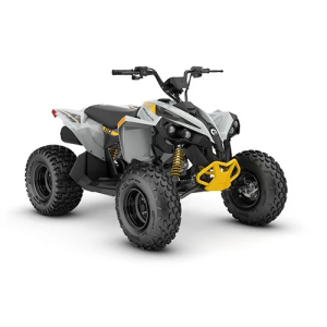 Can-Am Renegade 110 EFI INT '25