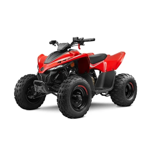 CFMOTO CFORCE 110 '25