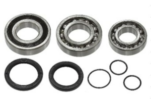 Sno-X Chain case bearing kit